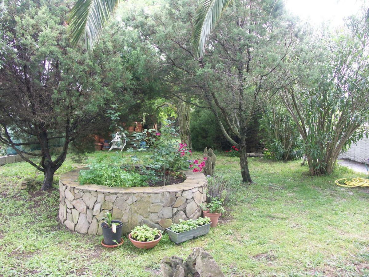 Appartement Locanda Del Pescatore à Palmadula Extérieur photo